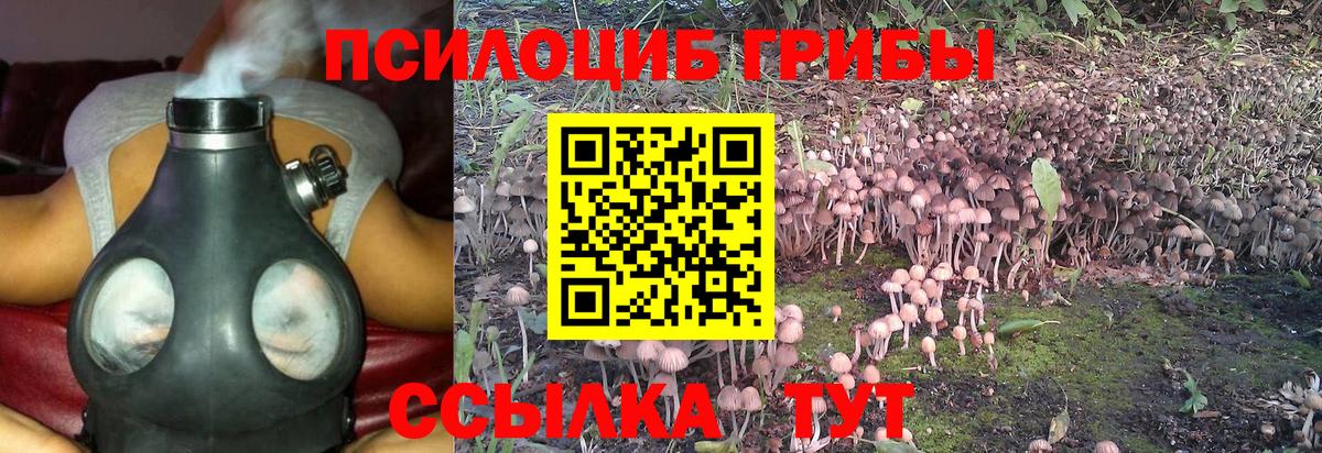 Галлюциногенные грибы Magic Shrooms  Галлюциногенные грибы мухоморы  Донецк  Вход с VPN 